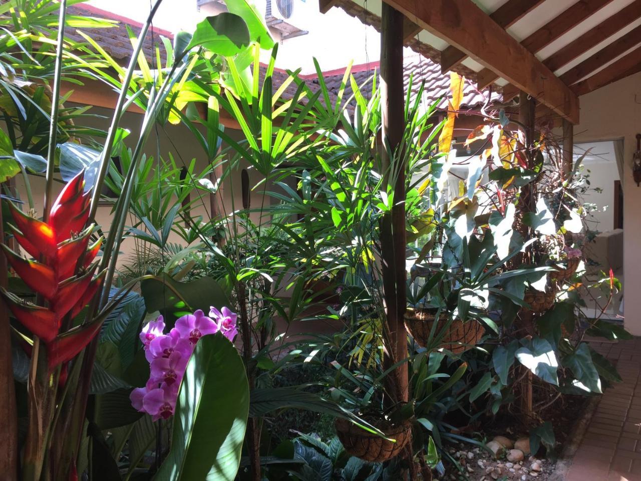 Tropical Paradise Southbroom Exterior photo
